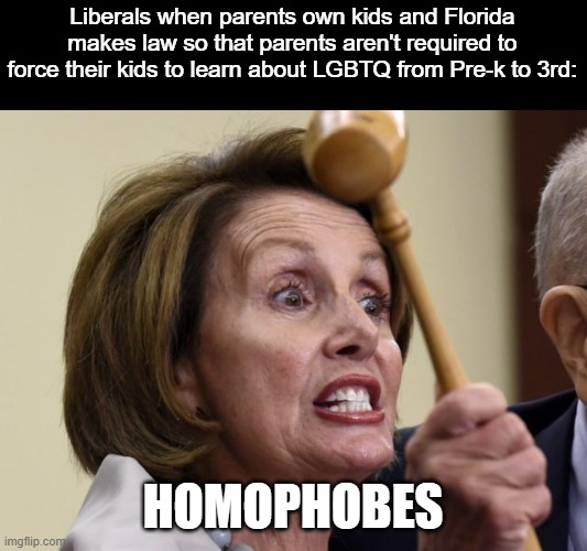 The government does not own the kids, the parents do, so let the parents decide whats right for them | Liberals when parents own kids and Florida makes law so that parents aren't required to force their kids to learn about LGBTQ from Pre-k to 3rd:; HOMOPHOBES | image tagged in nancy pelosi hissy fit,lgbtq | made w/ Imgflip meme maker