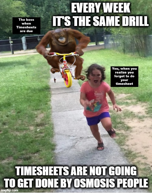 Same Thing Every Week |  EVERY WEEK IT'S THE SAME DRILL; TIMESHEETS ARE NOT GOING TO GET DONE BY OSMOSIS PEOPLE | image tagged in timesheet reminder,timesheet meme,little girl running away | made w/ Imgflip meme maker