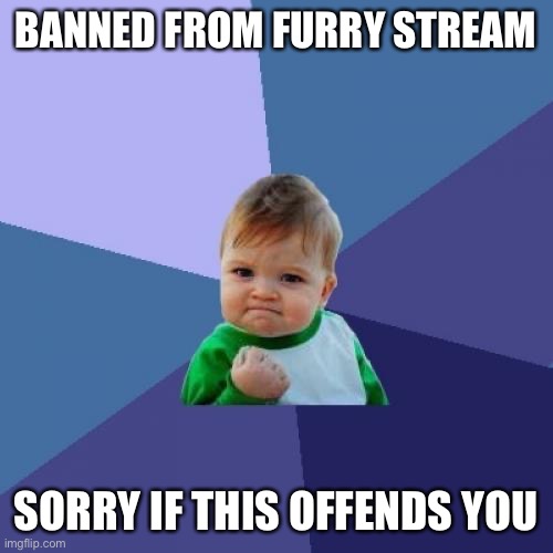 Success Kid Meme | BANNED FROM FURRY STREAM; SORRY IF THIS OFFENDS YOU | image tagged in memes,success kid | made w/ Imgflip meme maker