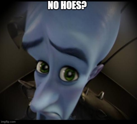 Megamind peeking | NO HOES? | image tagged in no bitches | made w/ Imgflip meme maker