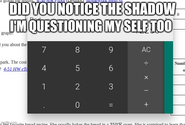 why is the window have a shadow | I'M QUESTIONING MY SELF TOO; DID YOU NOTICE THE SHADOW | image tagged in wtf | made w/ Imgflip meme maker