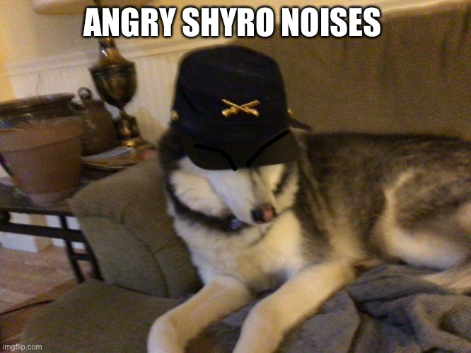 Union Husky | ANGRY SHYRO NOISES | image tagged in union husky | made w/ Imgflip meme maker