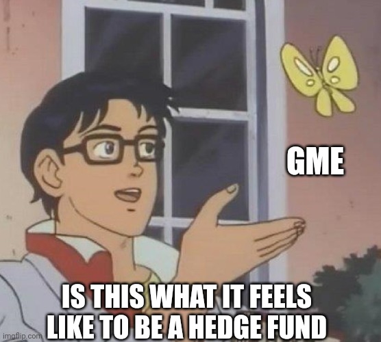 is this butterfly | GME; IS THIS WHAT IT FEELS LIKE TO BE A HEDGE FUND | image tagged in is this butterfly | made w/ Imgflip meme maker