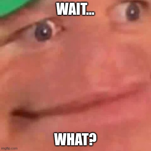 Wait Hol Up | WAIT... WHAT? | image tagged in wait hol up | made w/ Imgflip meme maker