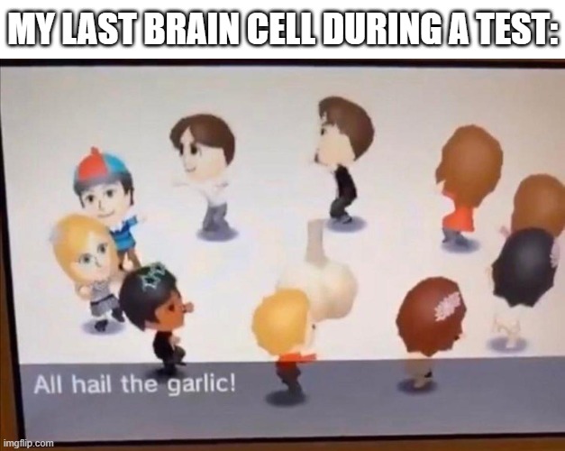 Last brain cell | MY LAST BRAIN CELL DURING A TEST: | image tagged in all hail the garlic,garlic,brain cells,tomodachi life | made w/ Imgflip meme maker