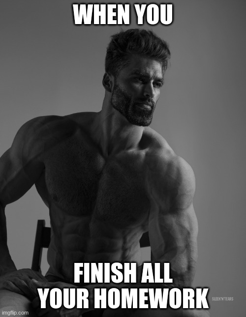 Giga Chad | WHEN YOU; FINISH ALL YOUR HOMEWORK | image tagged in giga chad | made w/ Imgflip meme maker