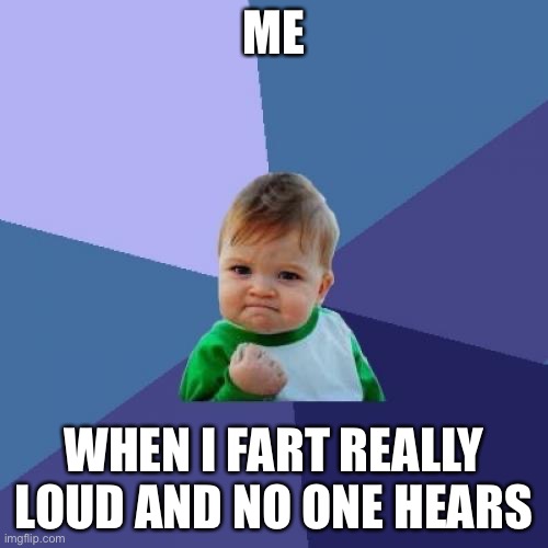 Squeeeeeeek | ME; WHEN I FART REALLY LOUD AND NO ONE HEARS | image tagged in memes,success kid,funny | made w/ Imgflip meme maker