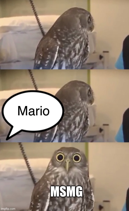 Owl | Mario; MSMG | image tagged in owl | made w/ Imgflip meme maker