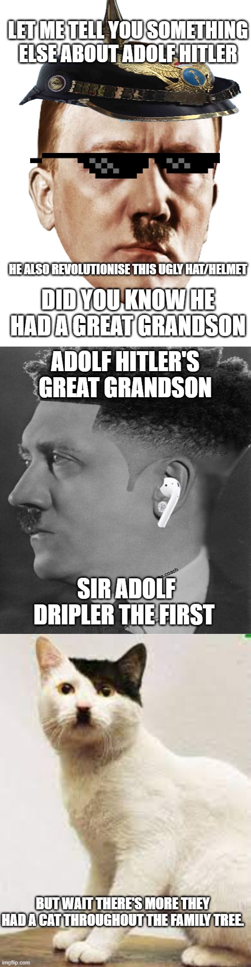 LET ME TELL YOU SOMETHING ELSE ABOUT ADOLF HITLER; HE ALSO REVOLUTIONISE THIS UGLY HAT/HELMET; DID YOU KNOW HE HAD A GREAT GRANDSON; ADOLF HITLER'S GREAT GRANDSON; SIR ADOLF DRIPLER THE FIRST; BUT WAIT THERE'S MORE THEY HAD A CAT THROUGHOUT THE FAMILY TREE. | image tagged in hitler face | made w/ Imgflip meme maker