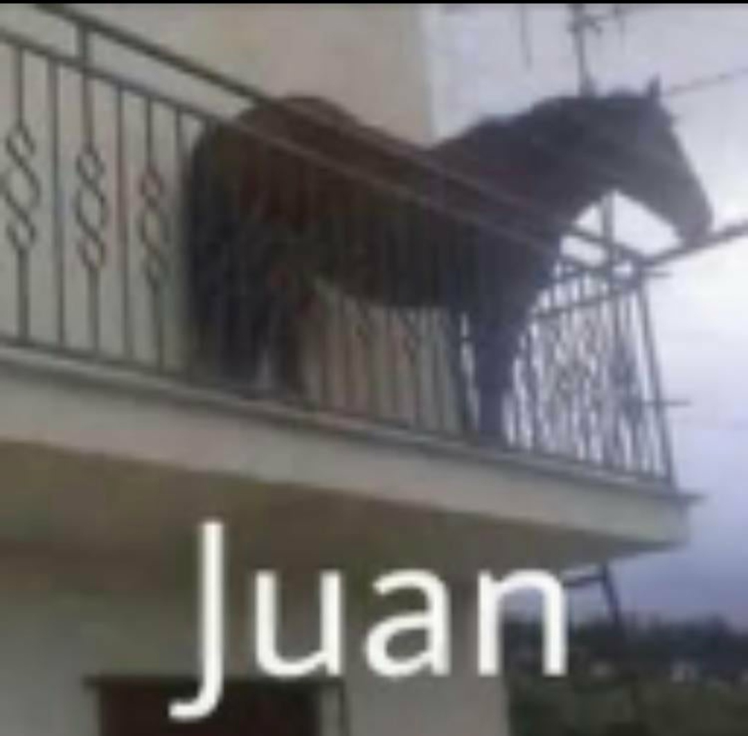 Juan Blank Meme Template