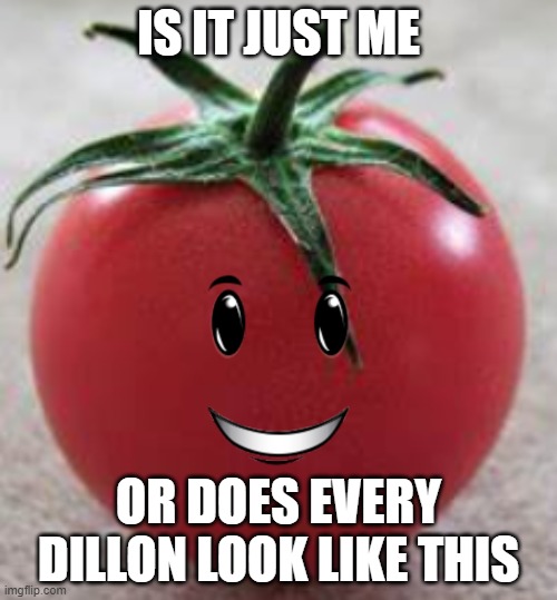 im sorry if your name is Dillon. except for the one sitting next to me | IS IT JUST ME; OR DOES EVERY DILLON LOOK LIKE THIS | image tagged in fun,funny memes,funny | made w/ Imgflip meme maker
