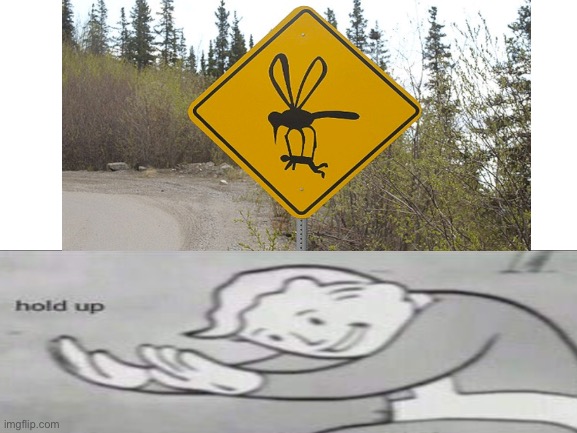 When the mosquitoes are too big | image tagged in big,bugs,hold up | made w/ Imgflip meme maker