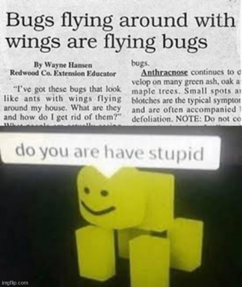 i d o i t ? | image tagged in do you are have stupid | made w/ Imgflip meme maker