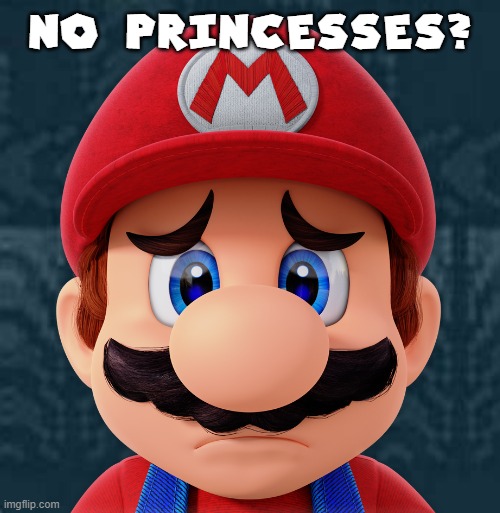 NO PRINCESSES? | made w/ Imgflip meme maker