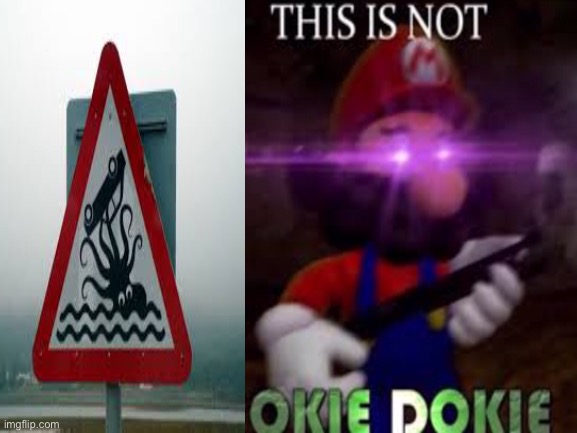 Not OK | image tagged in this is not okie dokie | made w/ Imgflip meme maker
