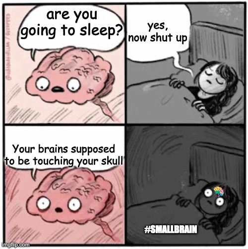 my brain is small | yes, now shut up; are you going to sleep? Your brains supposed to be touching your skull; #SMALLBRAIN | image tagged in brain before sleep | made w/ Imgflip meme maker