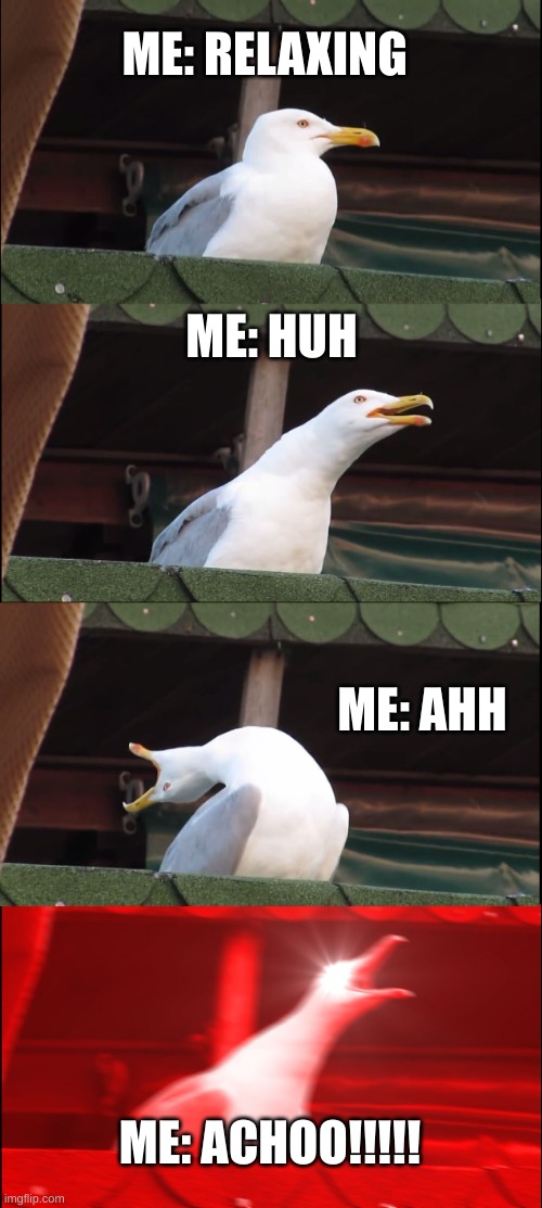 Inhaling Seagull Meme | ME: RELAXING; ME: HUH; ME: AHH; ME: ACHOO!!!!! | image tagged in memes,inhaling seagull | made w/ Imgflip meme maker