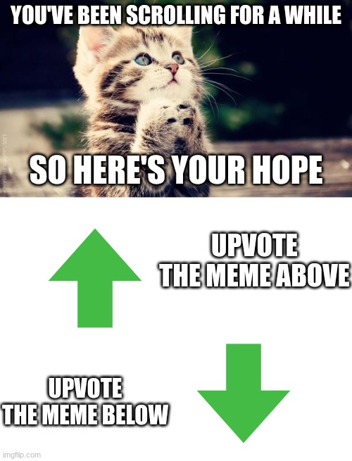 Have a great day |  YOU'VE BEEN SCROLLING FOR A WHILE; SO HERE'S YOUR HOPE; UPVOTE THE MEME ABOVE; UPVOTE THE MEME BELOW | image tagged in praying cat,blank white template | made w/ Imgflip meme maker