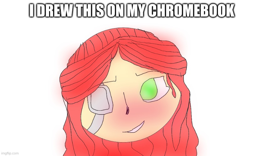 I DREW THIS ON MY CHROMEBOOK | made w/ Imgflip meme maker