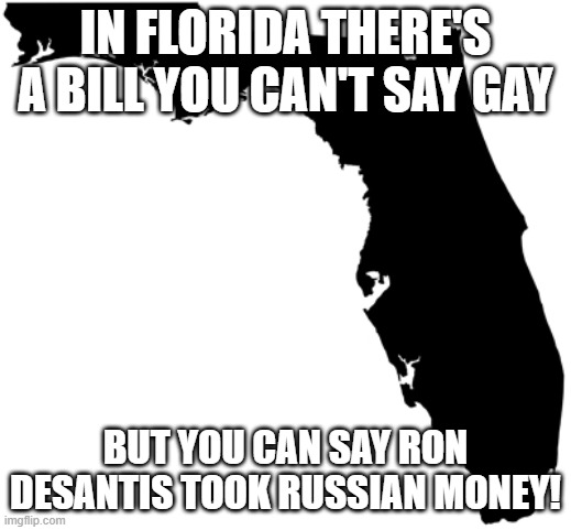 Florida | IN FLORIDA THERE'S A BILL YOU CAN'T SAY GAY; BUT YOU CAN SAY RON DESANTIS TOOK RUSSIAN MONEY! | image tagged in florida | made w/ Imgflip meme maker