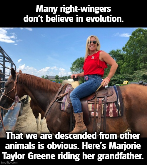 Marjorie Taylor Greene is only part horse. I don't have to tell you which part. | Many right-wingers don't believe in evolution. That we are descended from other animals is obvious. Here's Marjorie Taylor Greene riding her grandfather. | image tagged in right wing,evolution,mjt,horse | made w/ Imgflip meme maker