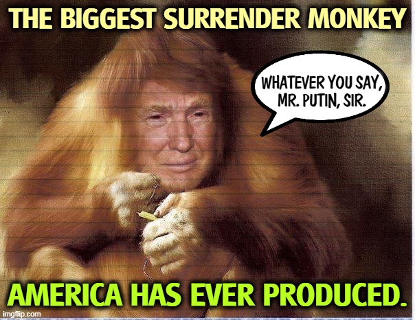 Trump Surrender Monkey Orangutan | THE BIGGEST SURRENDER MONKEY; WHATEVER YOU SAY,
MR. PUTIN, SIR. AMERICA HAS EVER PRODUCED. | image tagged in trump surrender monkey orangutan,trump,weak,coward,traitor | made w/ Imgflip meme maker