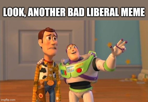 Liberalism meme | LOOK, ANOTHER BAD LIBERAL MEME | image tagged in toystory everywhere | made w/ Imgflip meme maker
