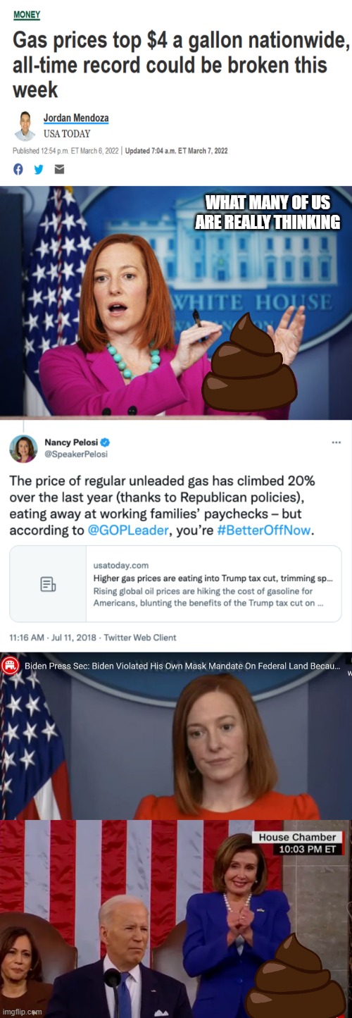 Just another Pile of | WHAT MANY OF US ARE REALLY THINKING | image tagged in i'll have to circle back,jen psaki | made w/ Imgflip meme maker