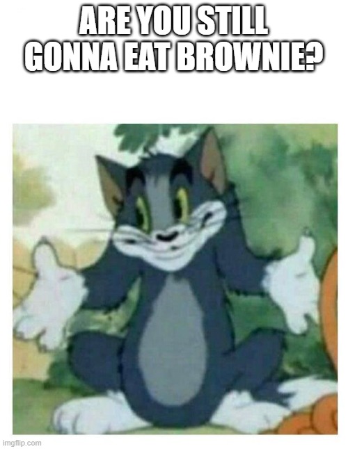 IDK Tom Template | ARE YOU STILL GONNA EAT BROWNIE? | image tagged in idk tom template | made w/ Imgflip meme maker