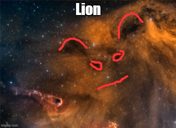 Lion | made w/ Imgflip meme maker