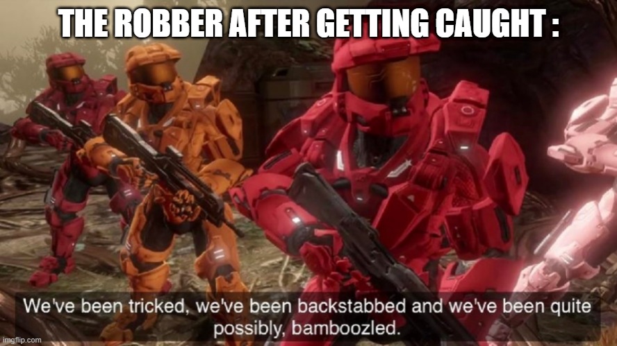 We've been tricked | THE ROBBER AFTER GETTING CAUGHT : | image tagged in we've been tricked | made w/ Imgflip meme maker