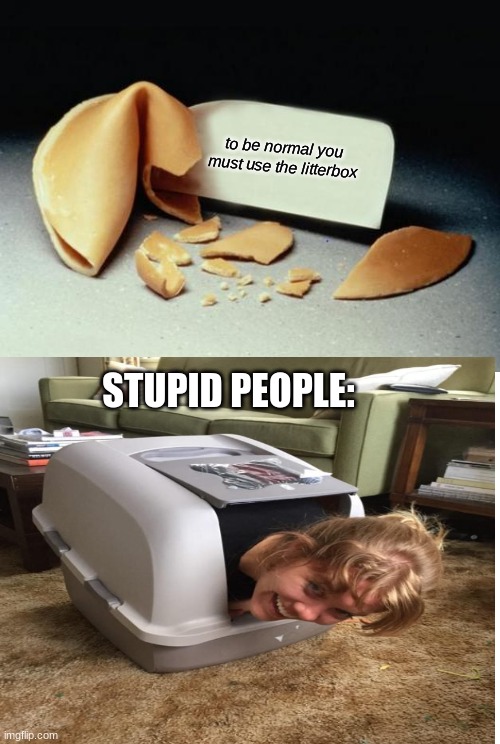  to be normal you must use the litterbox; STUPID PEOPLE: | image tagged in fortune cookie,litter box,stupid people | made w/ Imgflip meme maker