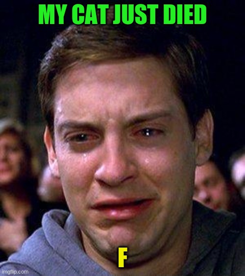 F | MY CAT JUST DIED; F | image tagged in peter parker cry | made w/ Imgflip meme maker
