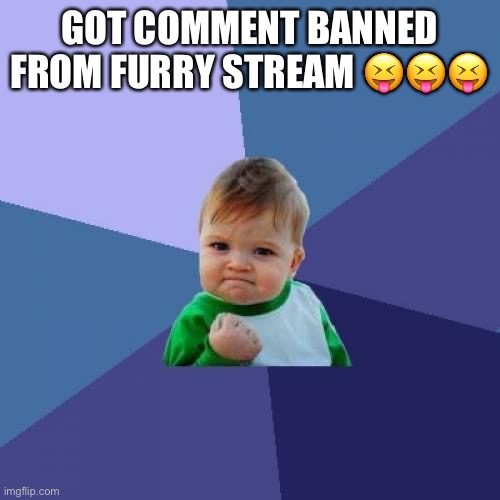 Success Kid | GOT COMMENT BANNED FROM FURRY STREAM 😝😝😝 | image tagged in memes,success kid | made w/ Imgflip meme maker