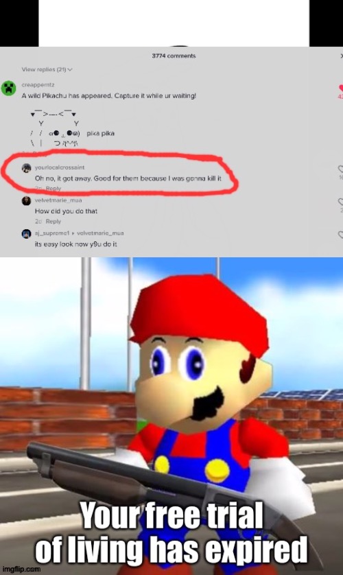 Now did I read that right? | image tagged in smg4 shotgun mario,your free trial of living has ended,pokemon,pikachu,memes,tik tok | made w/ Imgflip meme maker