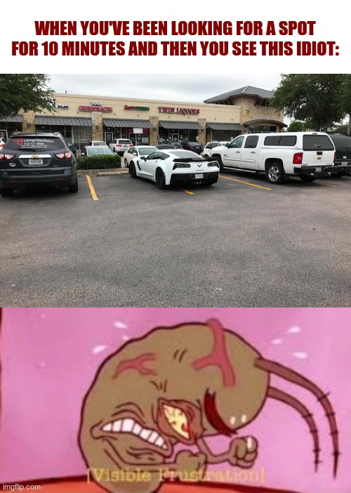 Like, bruhhhh..... | WHEN YOU'VE BEEN LOOKING FOR A SPOT FOR 10 MINUTES AND THEN YOU SEE THIS IDIOT: | image tagged in visible frustration,cars,memes,parking,angery | made w/ Imgflip meme maker