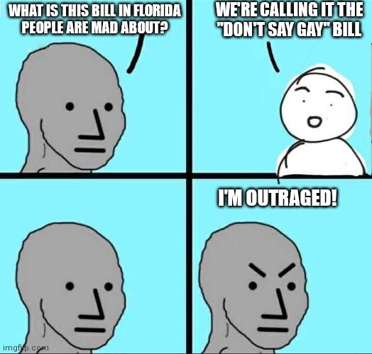Liberals: Spare me the details! You had me at "don't say gay"! | WE'RE CALLING IT THE
"DON'T SAY GAY" BILL; WHAT IS THIS BILL IN FLORIDA
PEOPLE ARE MAD ABOUT? I'M OUTRAGED! | image tagged in npc meme,democrats,liberals,gay,florida | made w/ Imgflip meme maker