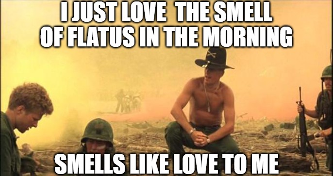 be all you can be | I JUST LOVE  THE SMELL OF FLATUS IN THE MORNING; SMELLS LIKE LOVE TO ME | image tagged in i love the smell of napalm in the morning | made w/ Imgflip meme maker