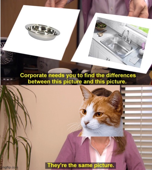 They're The Same Picture | image tagged in they're the same picture | made w/ Imgflip meme maker
