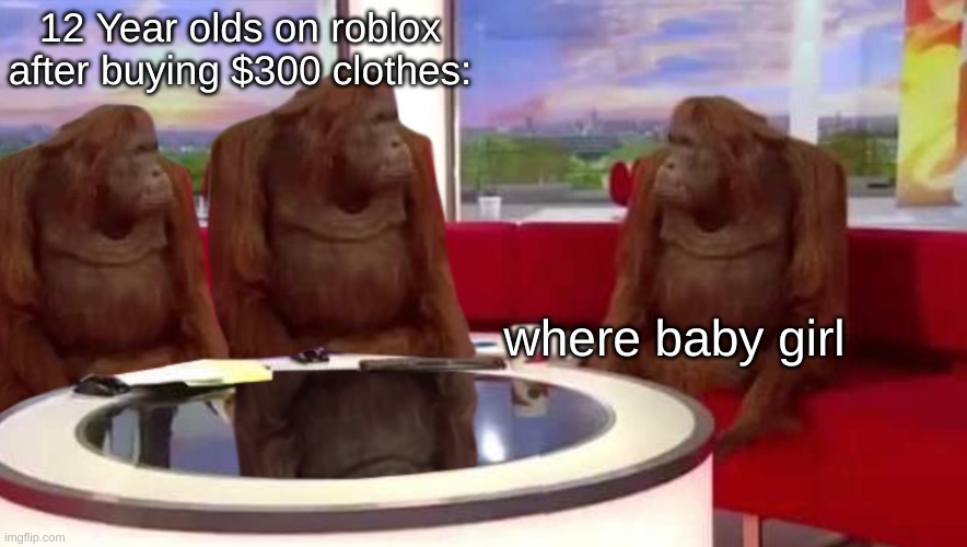 wHeRe bAbY GiRl | 12 Year olds on roblox after buying $300 clothes:; where baby girl | image tagged in where monkey | made w/ Imgflip meme maker