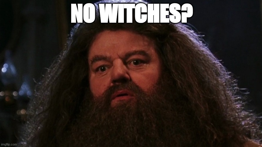 NO WITCHES? | made w/ Imgflip meme maker