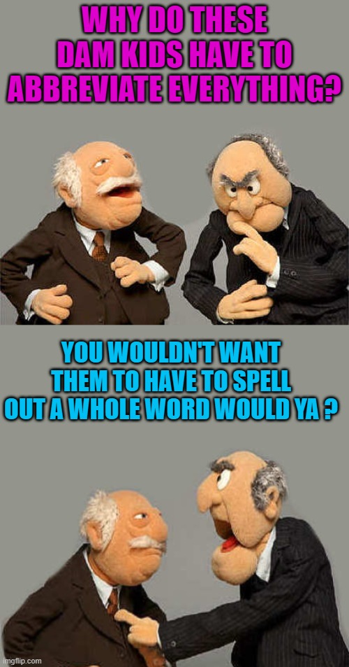  WHY DO THESE DAM KIDS HAVE TO ABBREVIATE EVERYTHING? YOU WOULDN'T WANT THEM TO HAVE TO SPELL OUT A WHOLE WORD WOULD YA ? | made w/ Imgflip meme maker