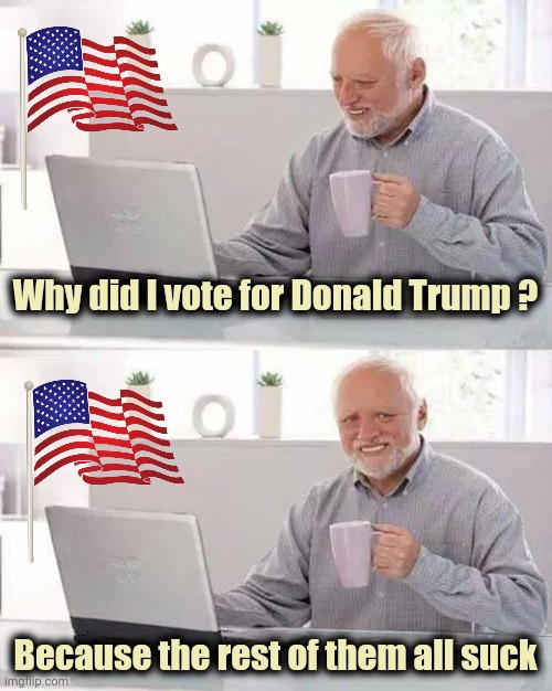 That was easy | Why did I vote for Donald Trump ? Because the rest of them all suck | image tagged in memes,hide the pain harold,president trump,politicians suck,politicians,suck | made w/ Imgflip meme maker