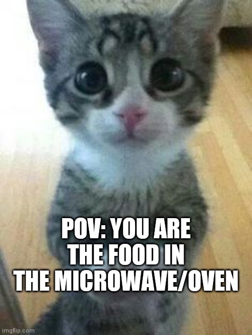 Kitten Big Eyes | POV: YOU ARE THE FOOD IN THE MICROWAVE/OVEN | image tagged in kitten big eyes | made w/ Imgflip meme maker