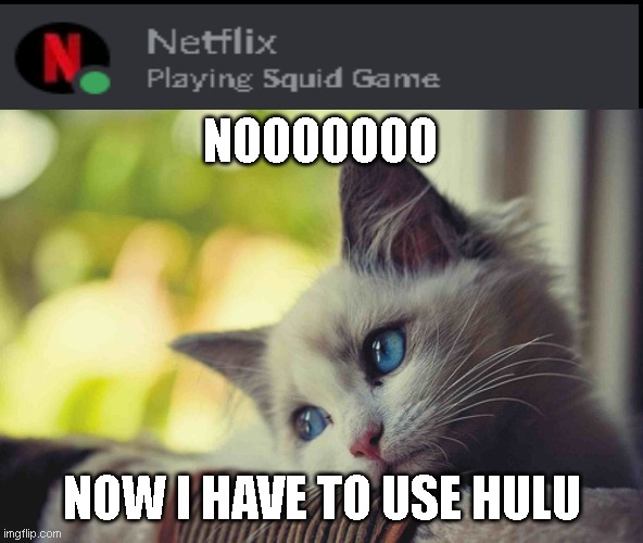 @whoami rate it, i want a rating from the best | NOOOOOOO; NOW I HAVE TO USE HULU | image tagged in sad cat | made w/ Imgflip meme maker