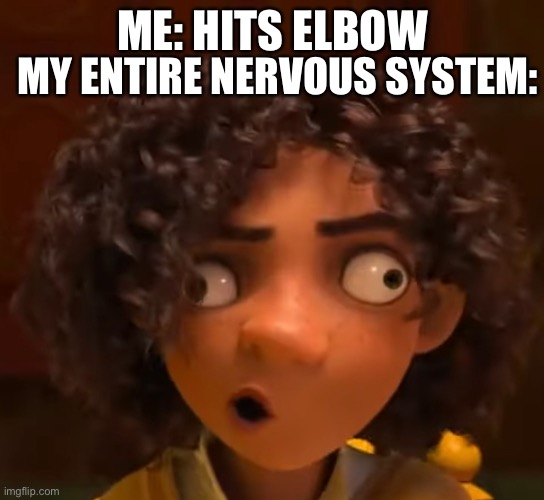 camilo, fix ur face! | MY ENTIRE NERVOUS SYSTEM:; ME: HITS ELBOW | image tagged in camilo,encanto | made w/ Imgflip meme maker