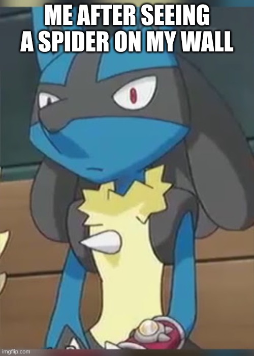 Lucario | ME AFTER SEEING A SPIDER ON MY WALL | image tagged in lucario | made w/ Imgflip meme maker