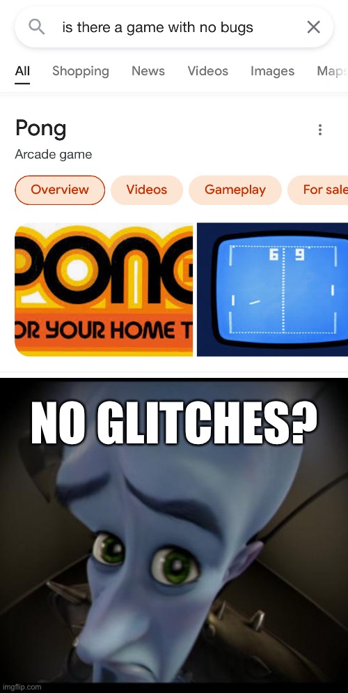 NO GLITCHES? | image tagged in no bitches | made w/ Imgflip meme maker