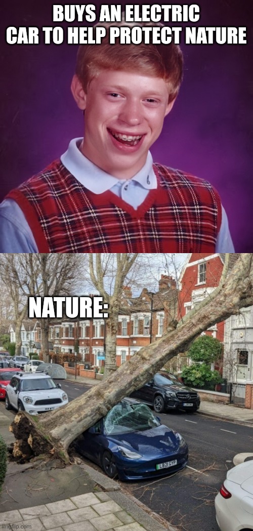 BAD LUCK WITH IRONY |  BUYS AN ELECTRIC CAR TO HELP PROTECT NATURE; NATURE: | image tagged in bad luck brian,memes,tesla,irony | made w/ Imgflip meme maker