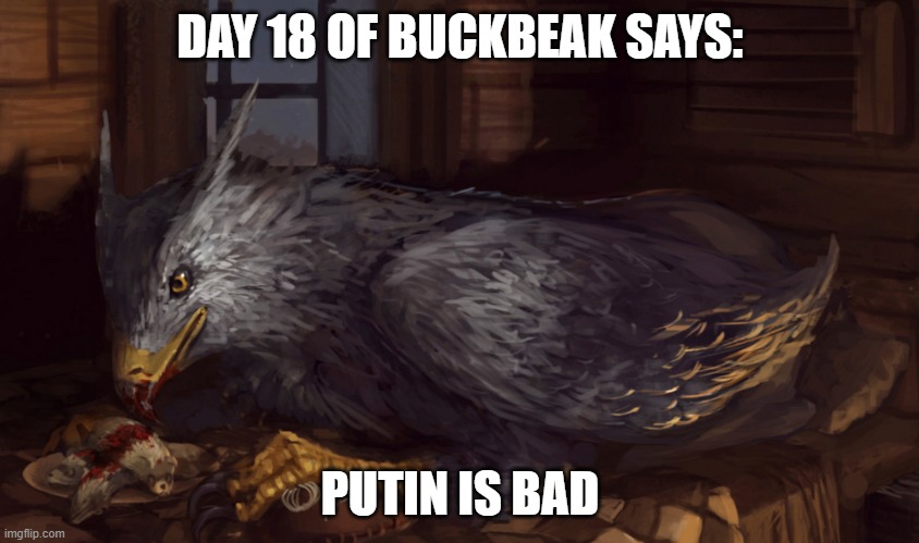 Buckbeak | DAY 18 OF BUCKBEAK SAYS:; PUTIN IS BAD | image tagged in buckbeak,memes,putin,is,bad | made w/ Imgflip meme maker